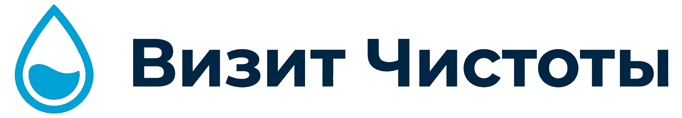 Визит Чистоты - Логотип